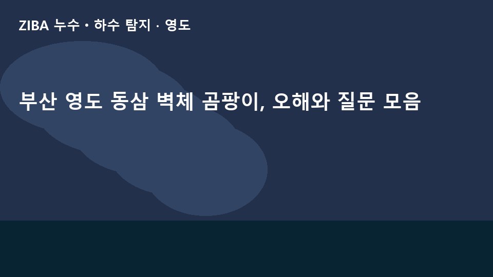 부산 영도 동삼 벽체 곰팡이, 오해와 질문 모음