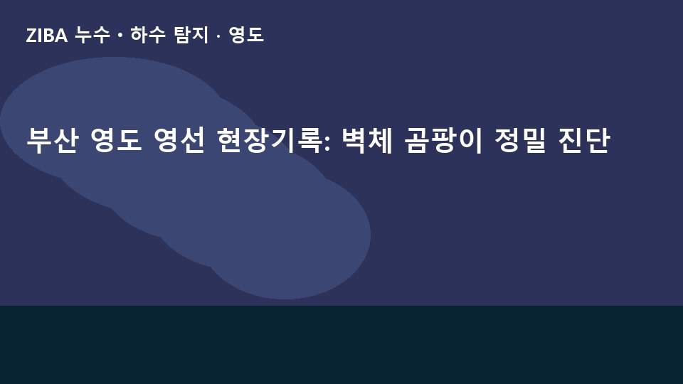 부산 영도 영선 현장기록: 벽체 곰팡이 정밀 진단