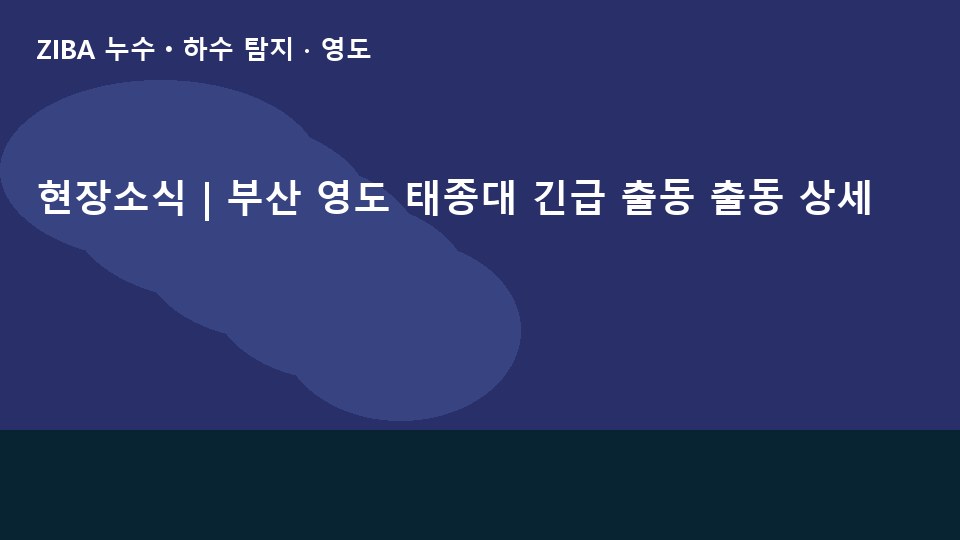현장소식 | 부산 영도 태종대 긴급 출동 출동 상세